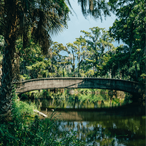 Wander through the beautiful City Park and explore the New Orleans Botanical Gardens,  only twenty-seven minutes on foot