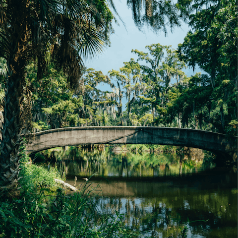 Wander through the beautiful City Park and explore the New Orleans Botanical Gardens,  only twenty-seven minutes on foot