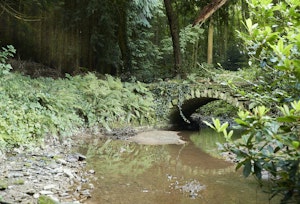 Barn Owl's Hideaway image 9