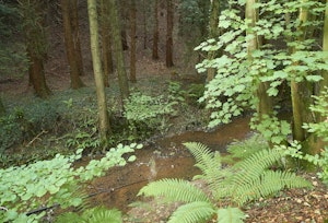 Barn Owl's Hideaway image 7