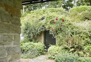 Barn Owl's Hideaway image 2
