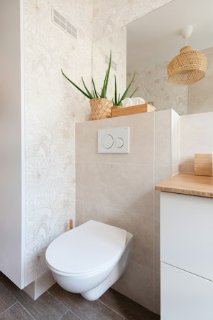 The Ivy image 12