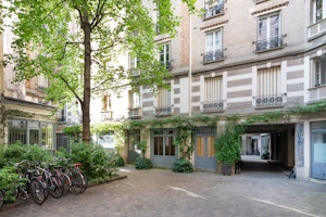 The Ivy image 5