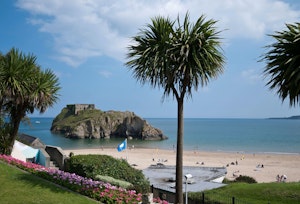 The Cottage on the Coast image 8