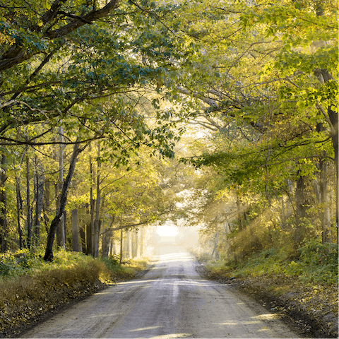 Lace up your boots and head out for a stroll in nearby woodland