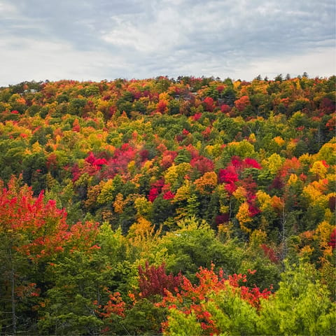 Explore the hiking trails of the Catskills and Greene County