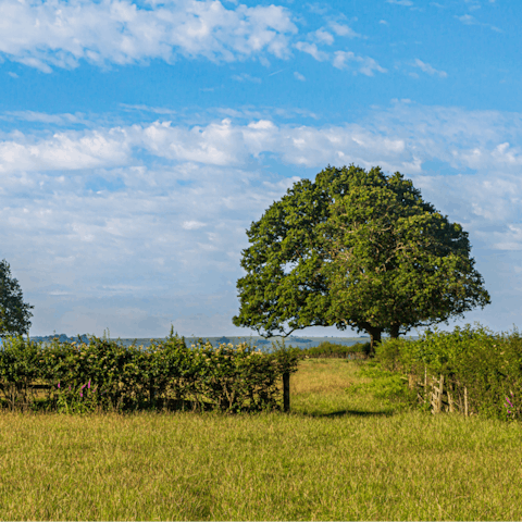 Explore the gorgeous Suffolk countryside, right on your doorstep