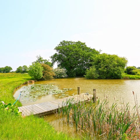 Take a wander around the beautiful, expansive grounds surrounding the home