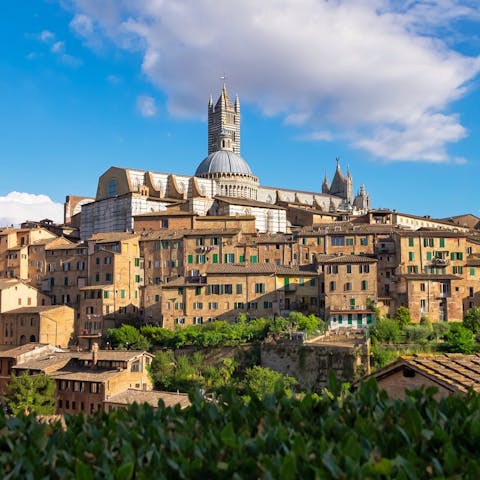 Visit the medieval city of  Siena – 30 kilometres away