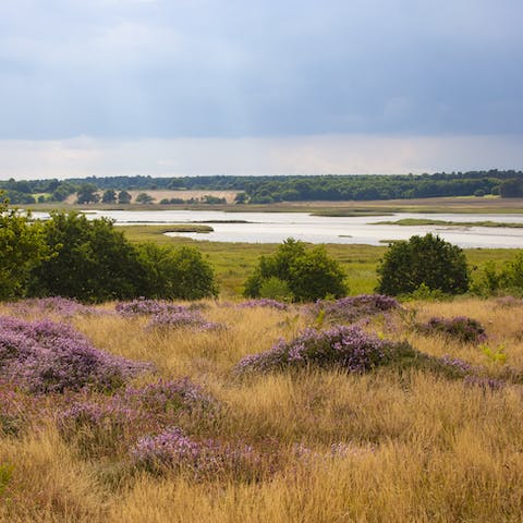 Head out into the surrounding Suffolk Coast and Heaths Area of Outstanding Natural Beauty on a bracing walk