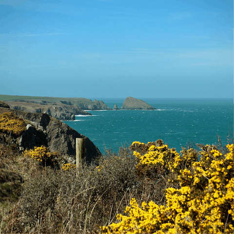 Explore the beautiful Pembrokeshire coast from your home in Broad Haven