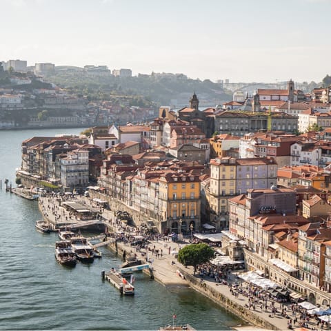 Immerse yourself in the vibrant heart of Porto 