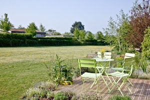 Ginger Meadow image 12