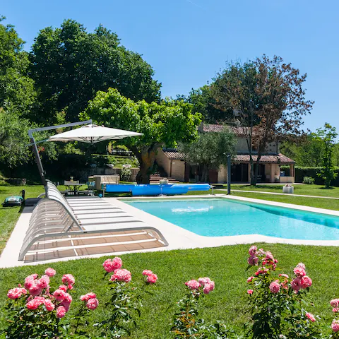 Experience the joy and beauty of the garden from the pool
