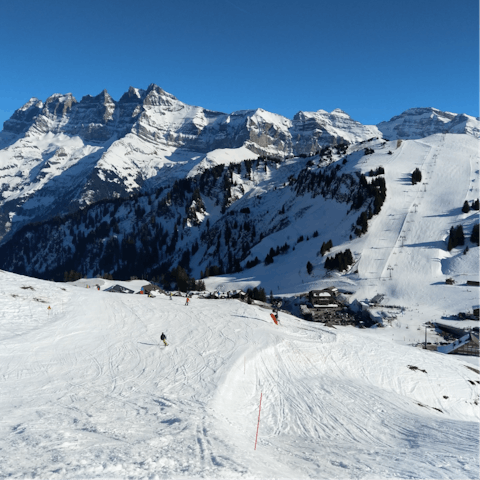 Hop on the cable car at Col du Pillon and hit the slopes