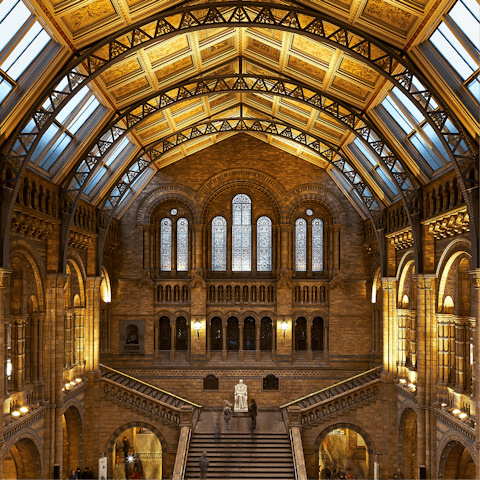 Head over to the Natural History Museum, just a short walk away