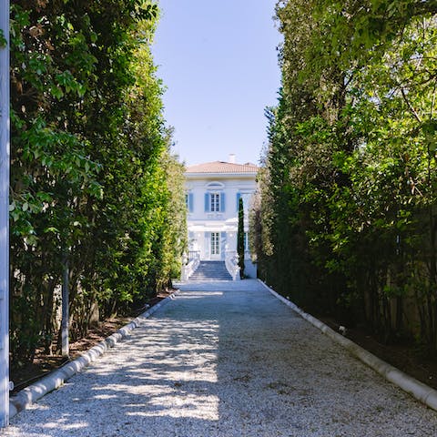 Access the villa via the stunning cypress-lined driveway