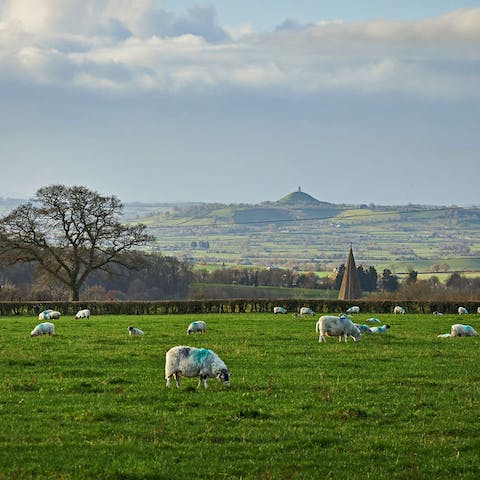 Explore the Somerset countryside on foot and hike up to Glastonbury Tor