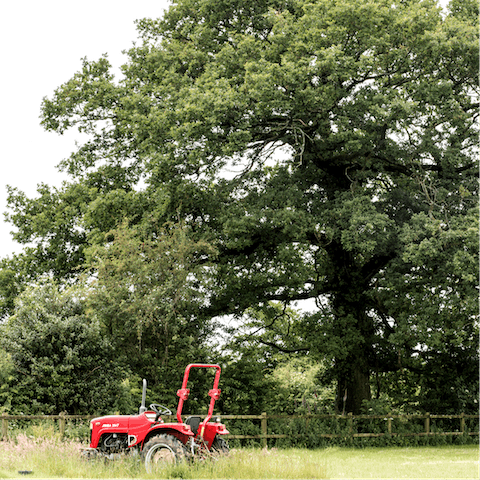 Go hiking in the country – you're a fourteen-minute drive from the heart of the Mendip Hills