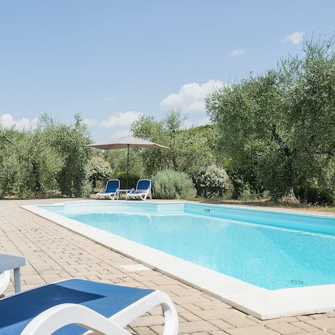Spend magical days by the swimming pool surrounded by olive trees