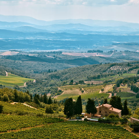 Explore Chianti's scenic countryside with walks right on your doorstep