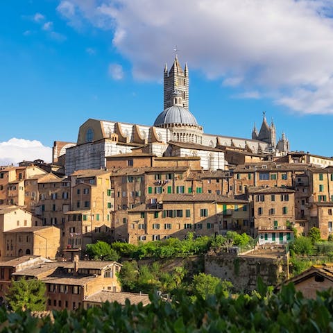Spend the day exploring the majestic streets of Siena – just a sixty–minute drive away