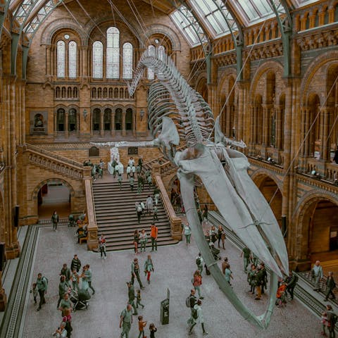Mosey into South Kensington and visit the Natural History Museum