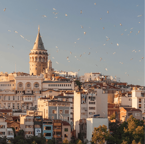 Spend an afternoon discovering the delights of Istanbul, a twenty-minute drive away