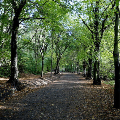Begin your mornings with a stroll through Hampstead Heath, twelve minutes from your doorstep