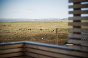 Across the Marshes to the Sea image 3