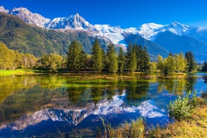 Snowflakes & Pines image 12