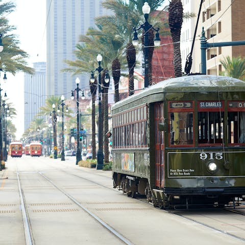 Catch the tram to Audubon Aquarium of the Americas in seventeen minutes