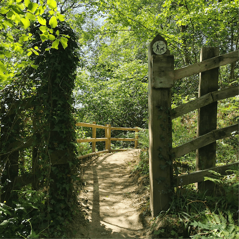 Head out on serene hiking trails around the Shropshire countryside