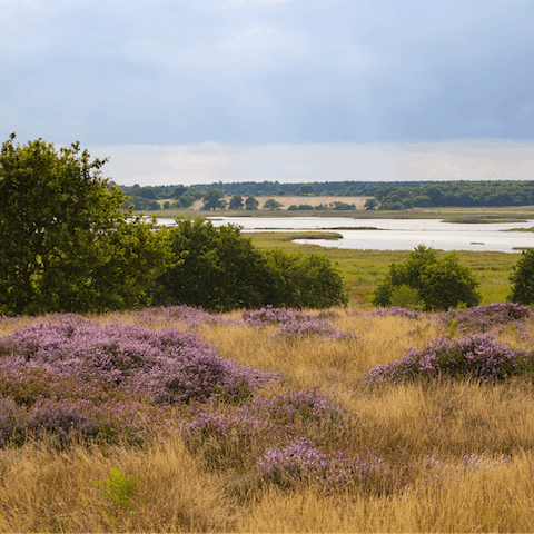 Pack a picnic and explore the Suffolk Heaths – Sutton Hoo is a ten-minute drive away