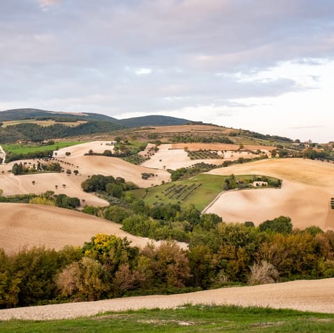 Discover the Marche region from your base in Monterubbiano