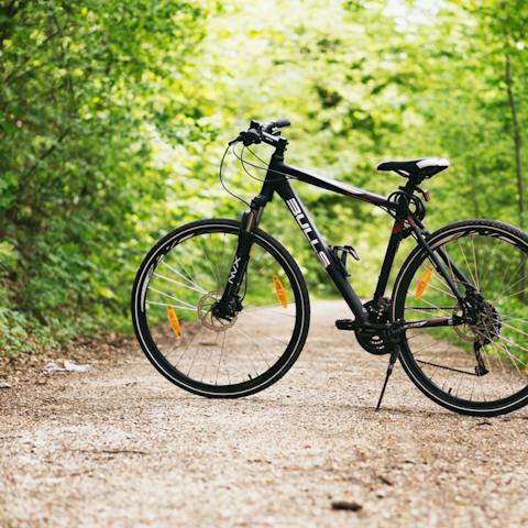 Explore the area by bike – there are numerous bike trails right outside your door