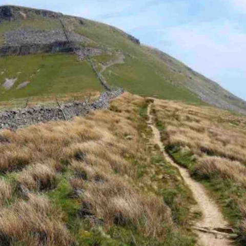Don your hiking boots for an adventure into the Ingleborough Estate Nature Trail –⁠ pathways lead directly from your door