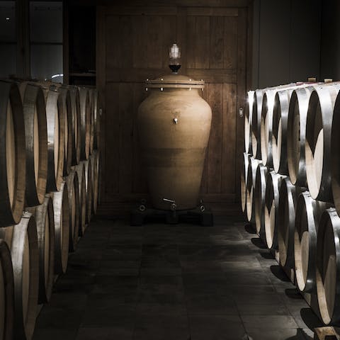 Sample the well-known wine made on-site from the wine-cellar