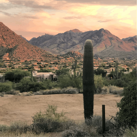 Stay in Scottsdale, Arizona
