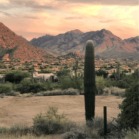 Stay in Scottsdale, Arizona 