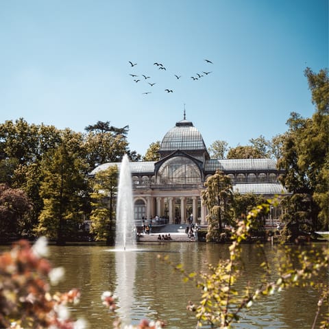 Take the ten-minute stroll to El Retiro Park and stretch out in the glorious sunshine