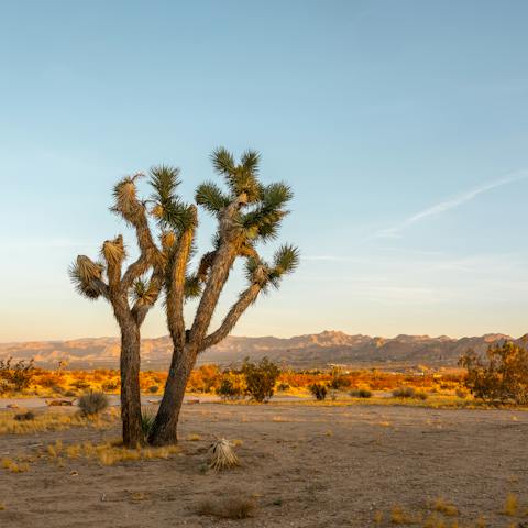 Breathe in beautiful desert surroundings
