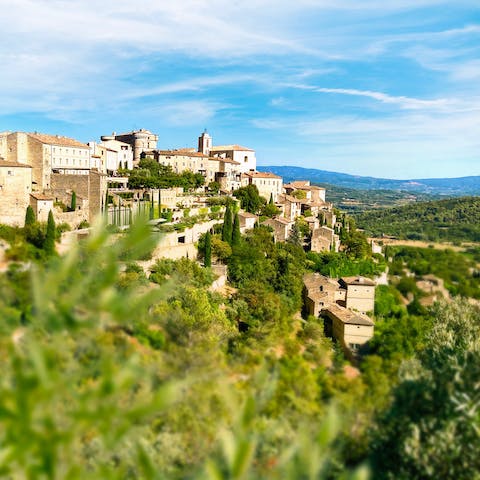 Discover the rolling vineyards, olive groves, pine forests and lavender fields of Provence