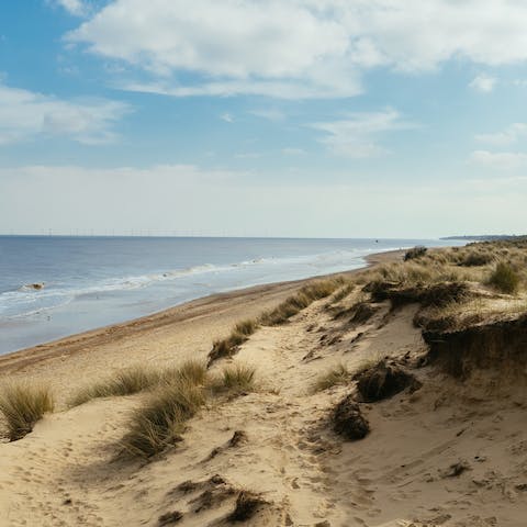 Marvel at the wildlife at Blakeney National Nature Reserve and Blakeney Point – around a ten-minute drive away