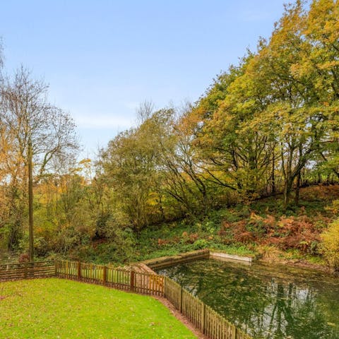 Relax in the garden with views across the trout pond and forest