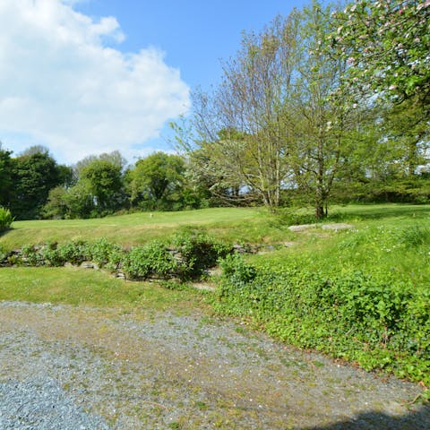 Find a sunny spot to relax out in the garden