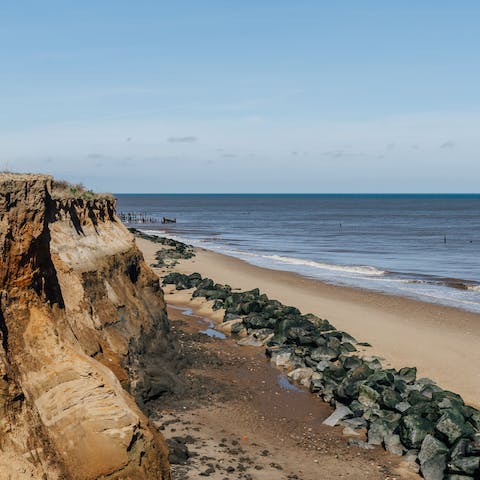Discover Norfolk's coastal dog-friendly beaches like Winterton, a sixty minute away