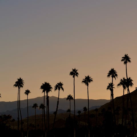 Explore the desert-oasis of Palm Springs, home to the San Jacinto Mountains, charming streets and historic architecture