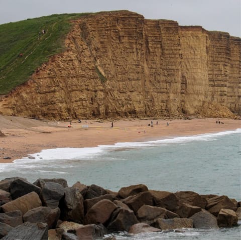 Go fossil hunting in beautiful West Bay, a thirty-five-minute drive away