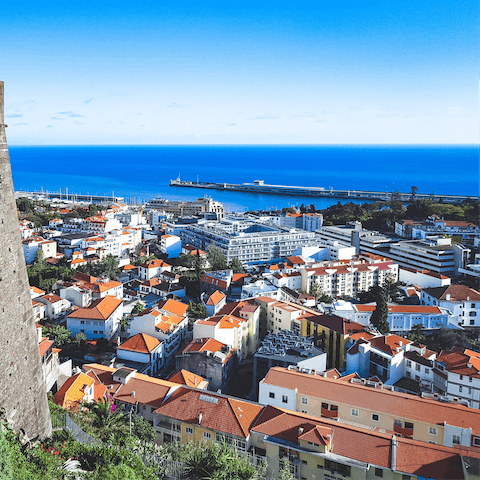 Explore Madeira's cool capital, and find gorgeous gardens and great wine cellars